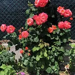 Sensory Garden Bed & Breakfast 4*