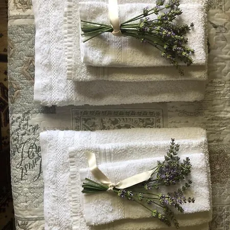 Bed and Breakfast Sensory Garden *