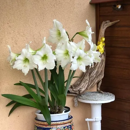 Sensory Garden Bed & Breakfast 4*
